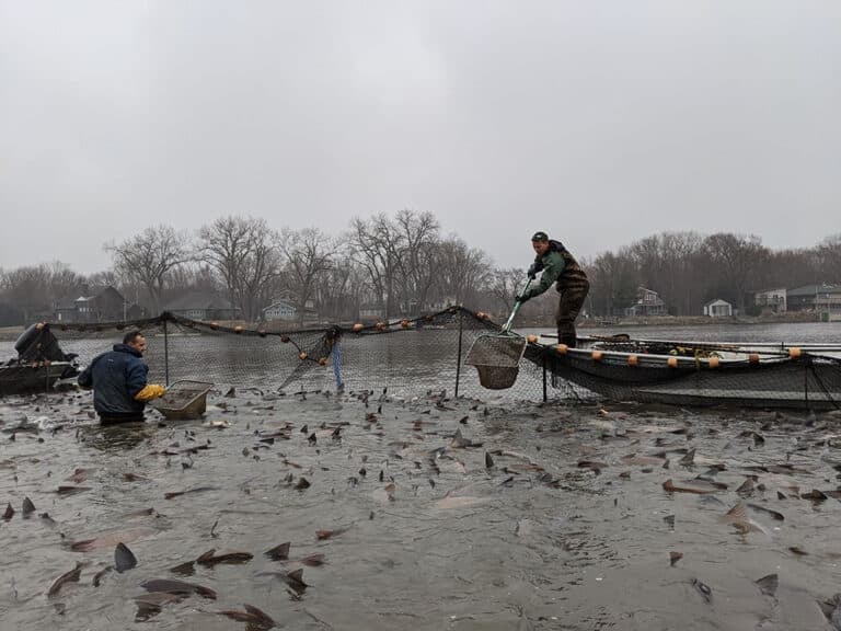 2020 03 09 Seining Operation