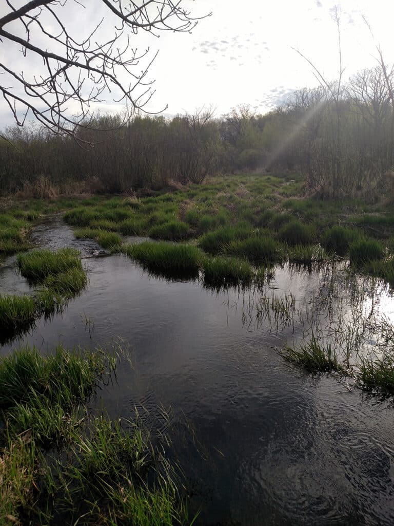 Rum River Millelacsswcd