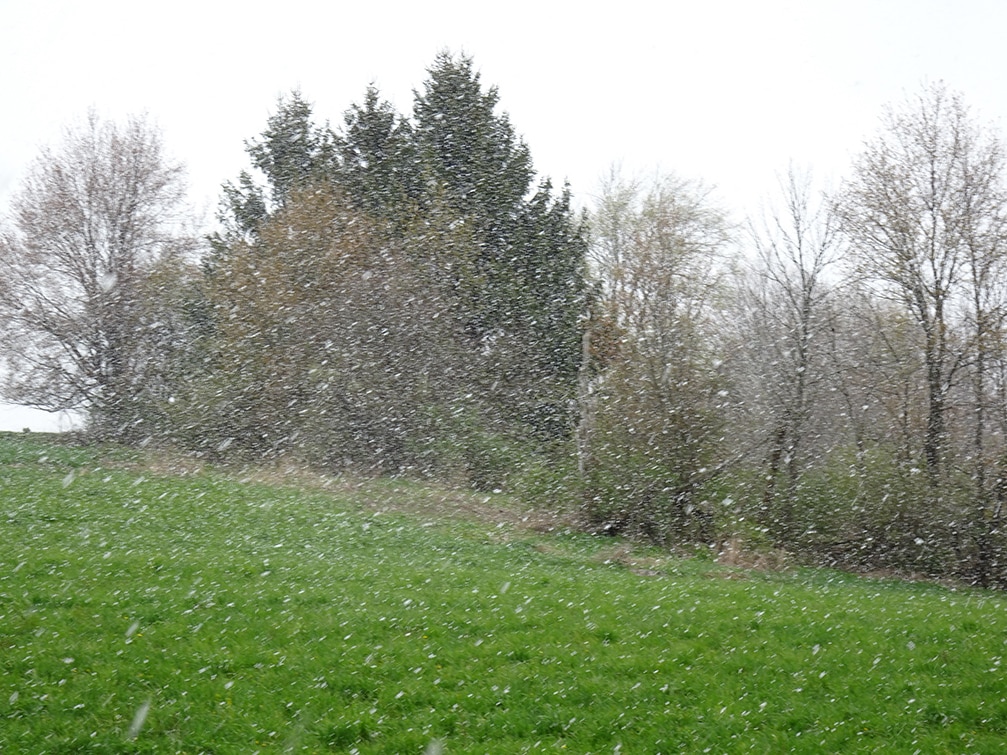 Dsc00042