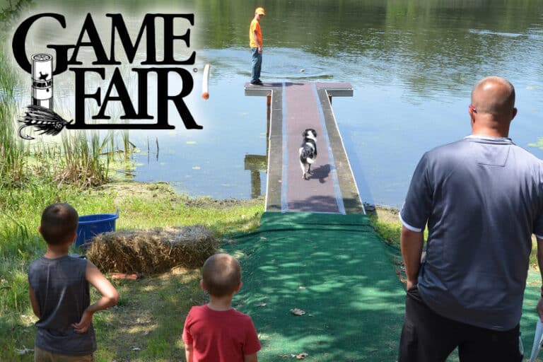 Gamefair