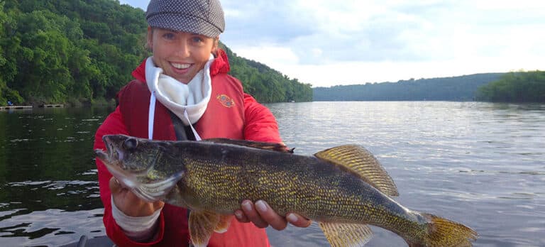 Walleye New Mndnr