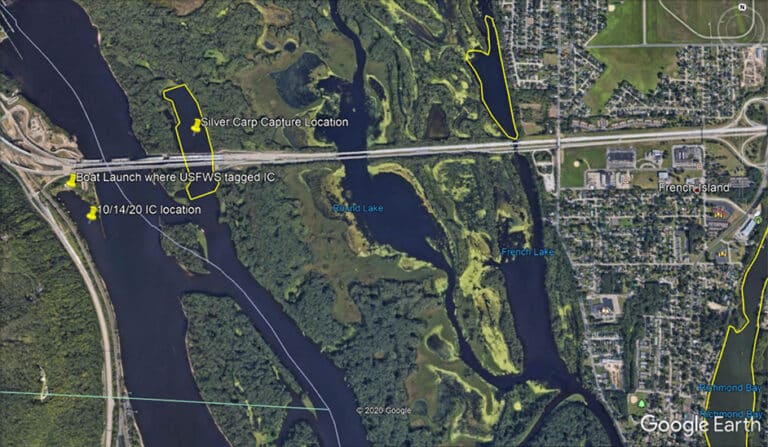 Map Silver Carp Pool 8