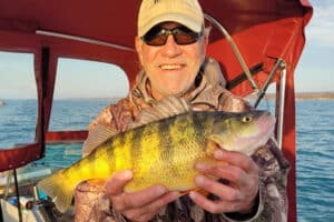Kirk Rudzinski Yellow Perch