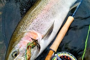 12 27 Hilts Winter Angling Tips