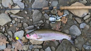 12 13 Frischkorn Steelhead Over Deer