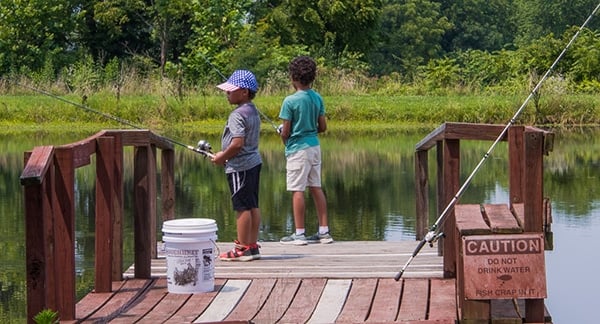 Gretchen Steele May We Never Forget The Fun Of A Farm Pond Full Of Bluegill