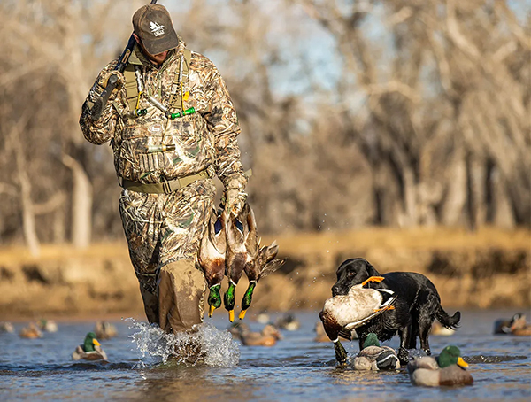 Even With State Mallard Numbers Down Duck Hunters Remain Eager 