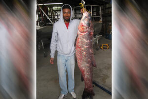 Bounty program for invasive carp species expands to 27 states - Outdoor ...