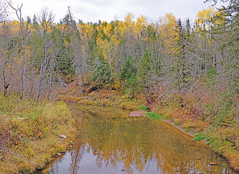 Minnesota DNR permanently protects 16,000 acres in northland