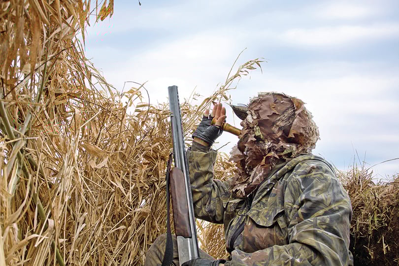 Wetland enhancement completed at New York’s Lakeview WMA - Outdoor News